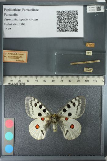 Media type: image;   Entomology 175430